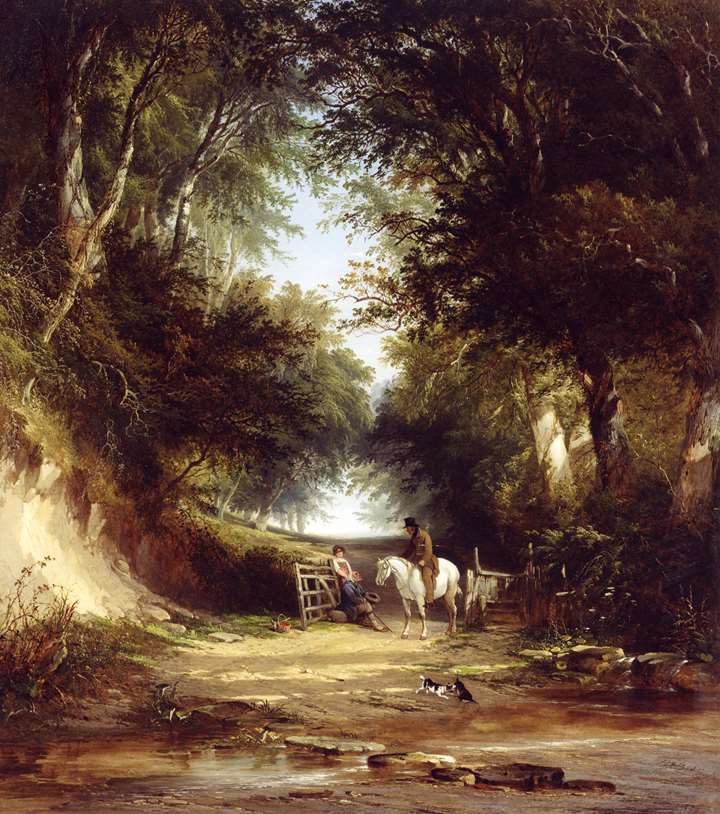 A Path Through the Woods